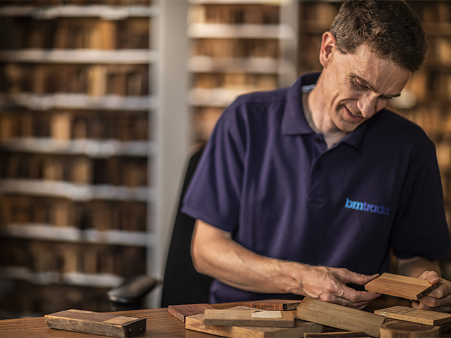 Introduction to softwoods and hardwoods