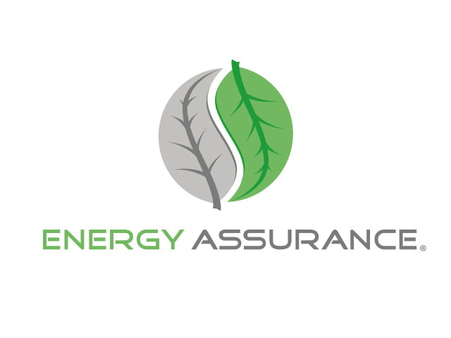 Energy Assurance