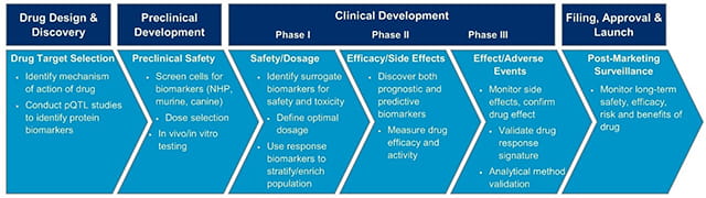 The role of biomarkers throughout the drug development life cycle