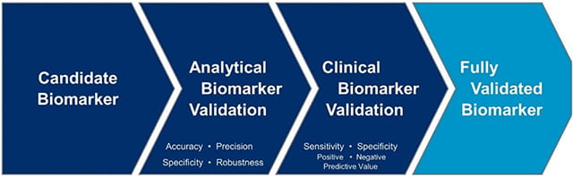 Biomarker validation progression pathway