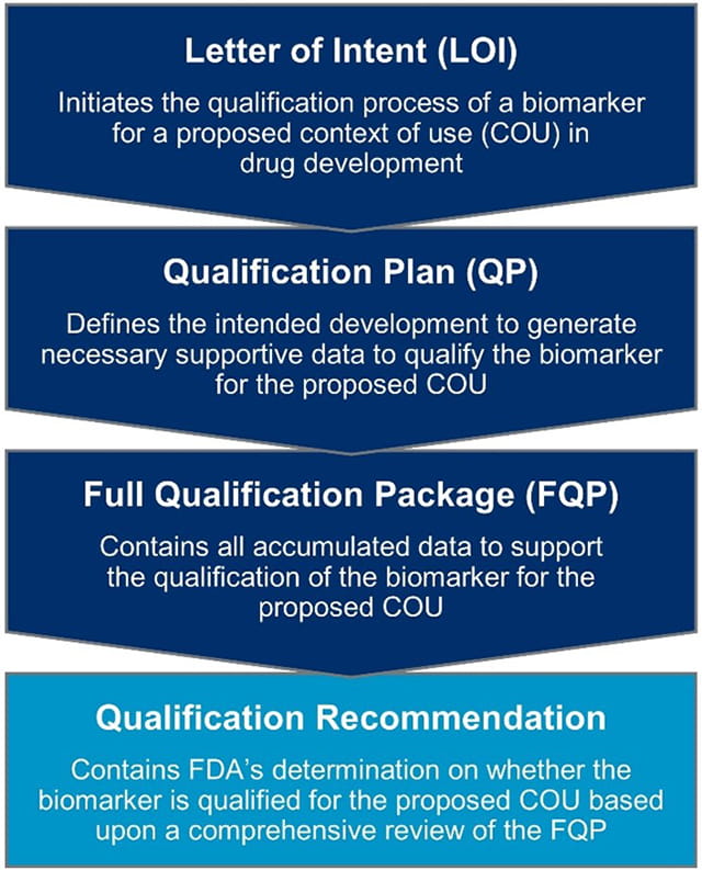 The US FDA’s biomarker qualification process for drug development