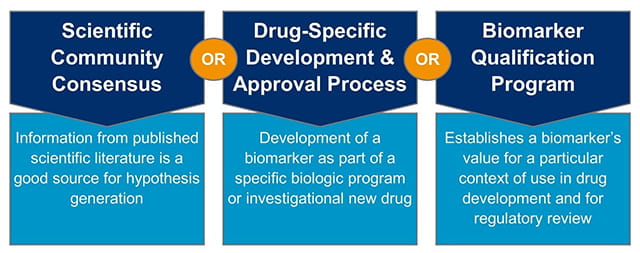 Regulatory pathways for the inclusion of biomarkers in drug development