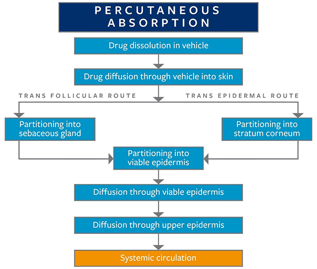 Dermal (percutaneous) absorption of active pharmaceutical ingredients (APIs) or chemicals from the outer surface of the skin to systemic circulation