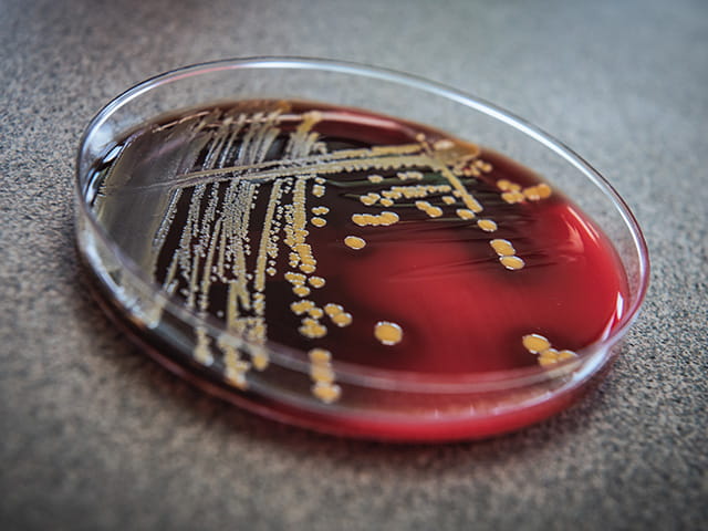 Residual Bactericidal Efficacy Testing