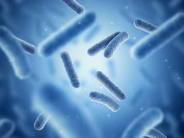 Microbiome testing and analysis services