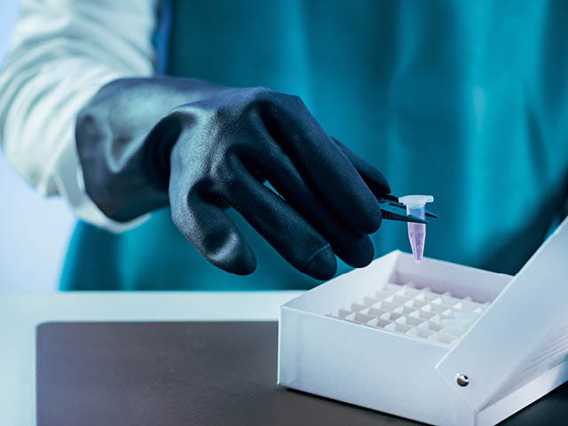 Mycoplasma Safety Testing in Pharmaceutical Products