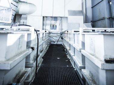 Nital Etch Inspection Services
